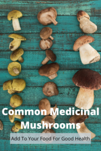 medicinal mushrooms list