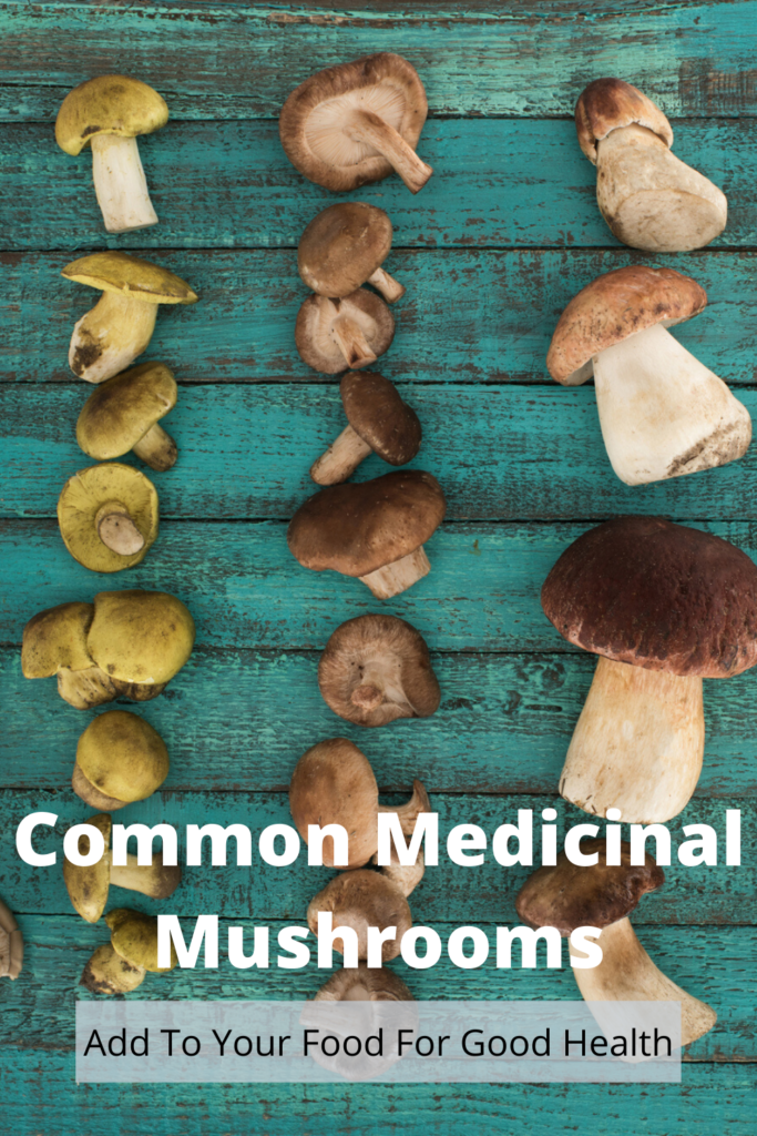 A Guide To Common Medicinal Mushrooms - Medicinal Mushroom Guide