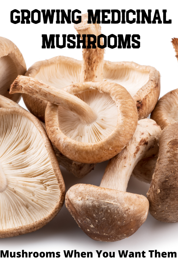 Grow Your Own Medicinal Mushrooms - Medicinal Mushroom Guide