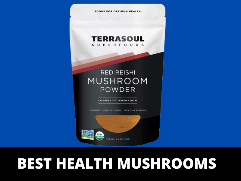 Benefits of Reishi mushrooms