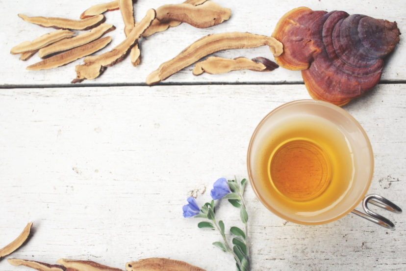 Top 7 Health Benefits From Reishi Mushroom