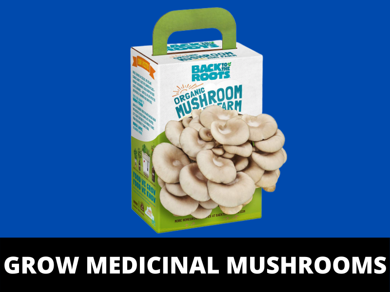 Grow Medicinal Mushrooms