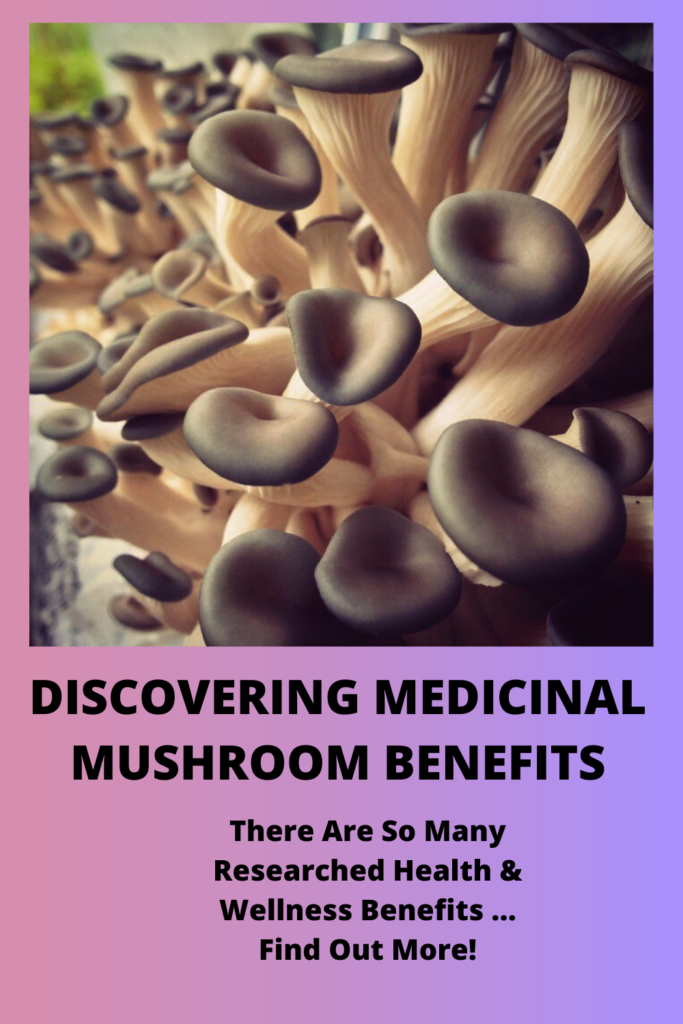 Discovering Medicinal Mushroom Benefits Medicinal Mushroom Guide